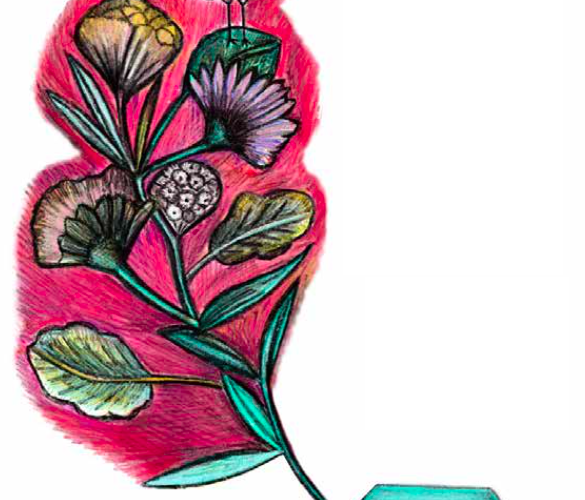 INFORME: Situación de los derechos humanos en México durante 2017