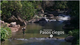 Cinefórum: Vulneración de derechos de las mujeres migrantes en la frontera Guatemala-México