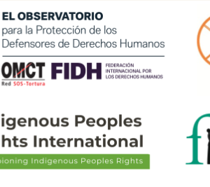 El Grupo de Trabajo sobre la Detención Arbitraria de la ONU confirma la criminalización y detención arbitraria de los defensores de derechos humanos tzeltales: Manuel Santiz Cruz, Agustín Pérez Domínguez, Juan Velasco Aguilar, Martín Pérez Domínguez, Augustín Pérez Velasco