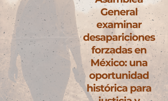 Solicitud del Comité de la ONU a la Asamblea General contra la Desaparición Forzada