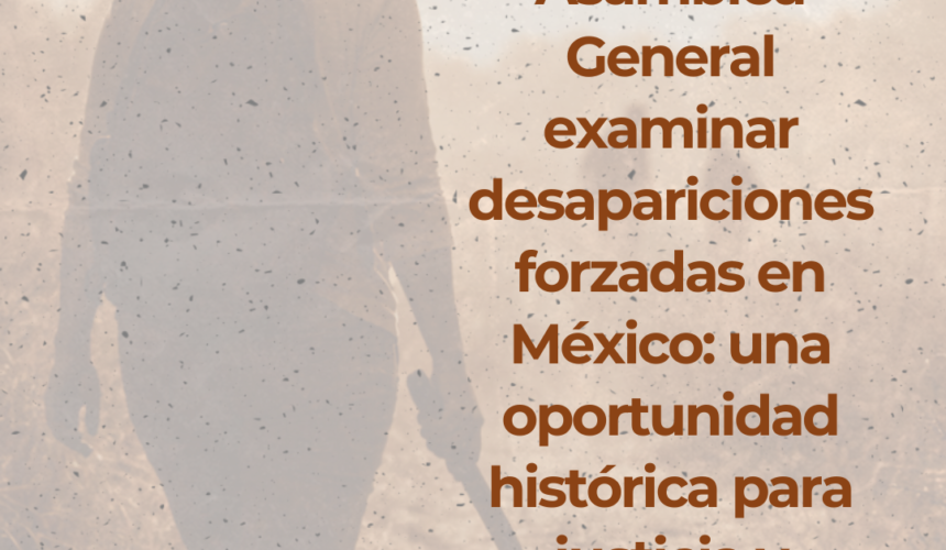 Solicitud del Comité de la ONU a la Asamblea General contra la Desaparición Forzada