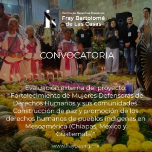 Convocatoria: Evaluación externa de proyecto