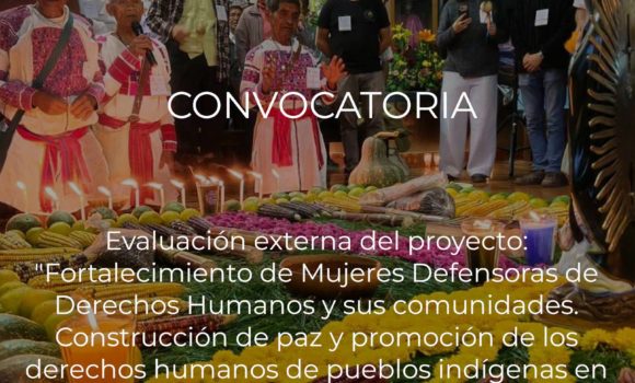 Convocatoria: Evaluación externa de proyecto
